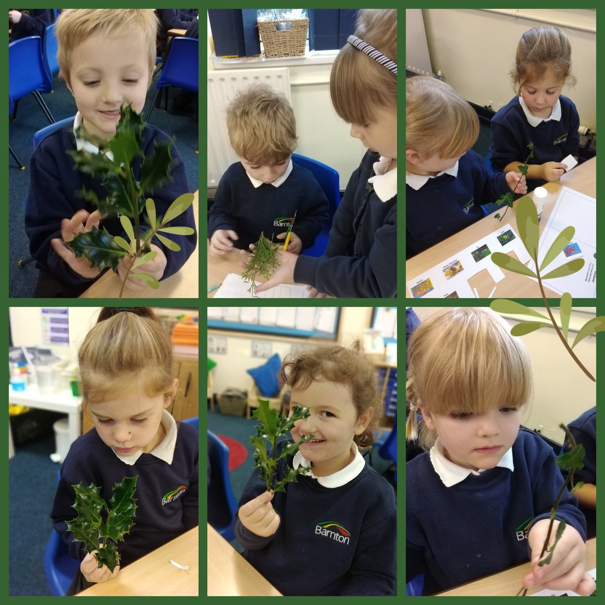 Today, Y1 have made scientific observations. They now know the difference between evergreen and deciduous trees.