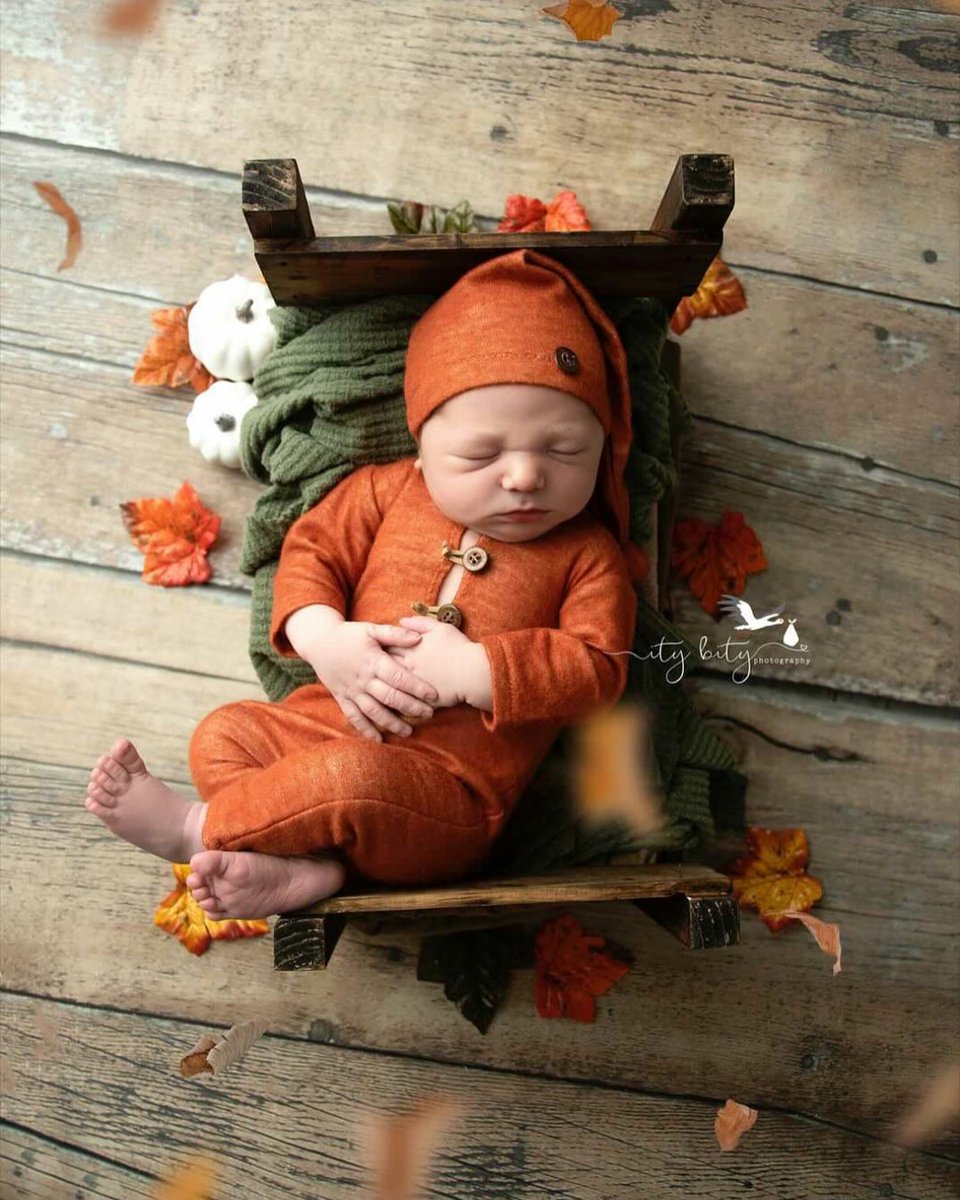 I love newborn fall portraits 
ketaprops.etsy.com