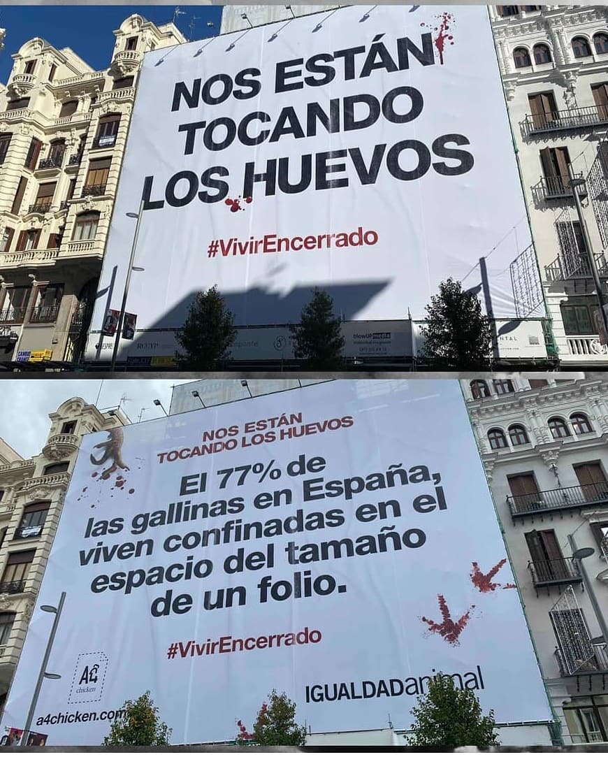 AlexMontplet's tweet photo. Mensajes contra las jaulas de gallinas en pleno centro de Madrid.

Messages against caged hens in Madrid city center.

#igualdadanimal #vivirencerrado #a4chicken #noalmaltratoanimal #cagefree https://t.co/IzpX0d581f
