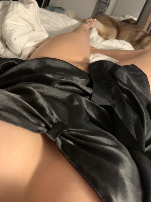 Good morning ☺️ if I used to follow you on my old account let me know and I&rsquo;ll follow you again 💜 https://t