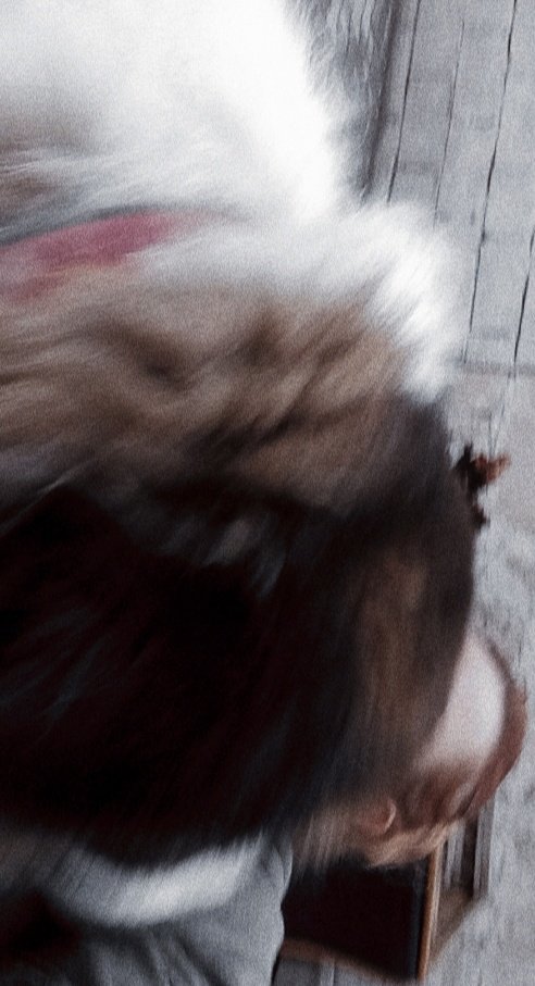 Asla fotoğraf çekemiyoruz..