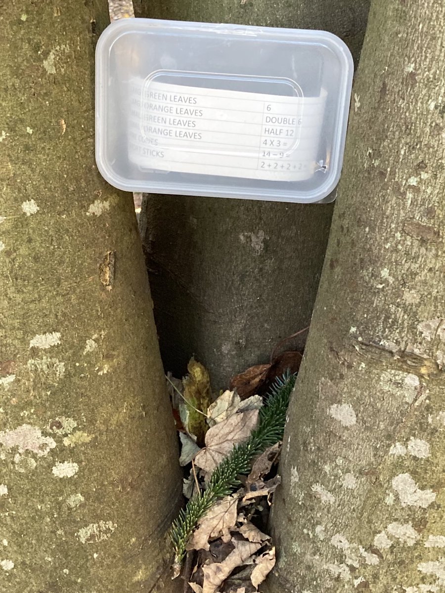 ArduthiePS's tweet photo. Maths in the woods. 3️⃣🍁❎5️⃣🍃= FUN!! 🤩 @LoveOutdoorPlay @OutdoorClassDay @StonehavenTweet https://t.co/4ocLKZjqKt