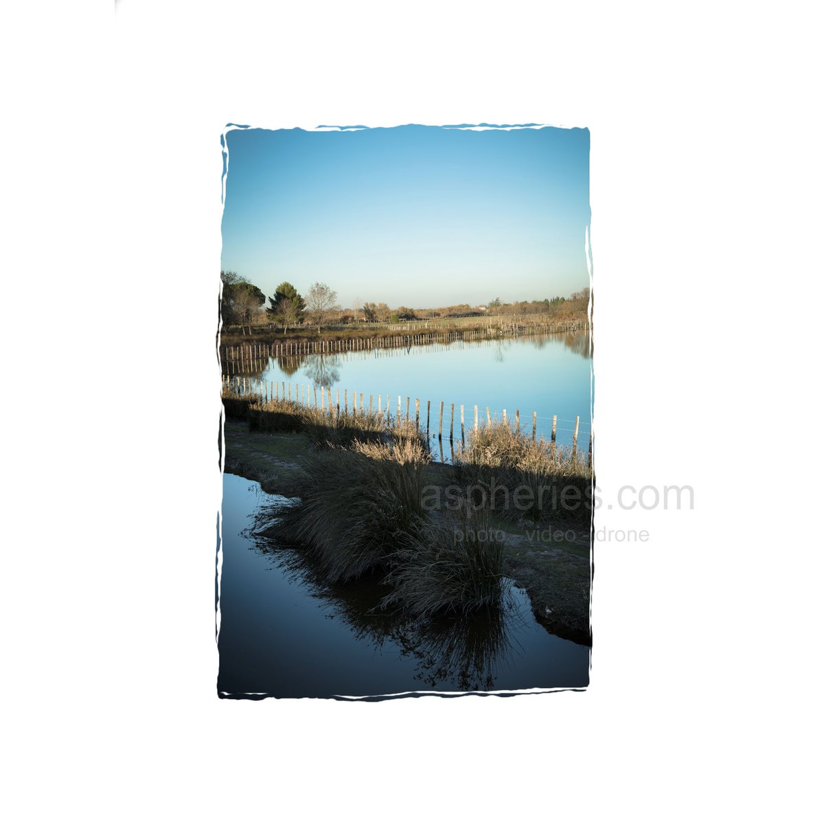 Aspheries's tweet photo. Un petit tour en #camargue , #occitanie ... https://t.co/jNun77cwVn