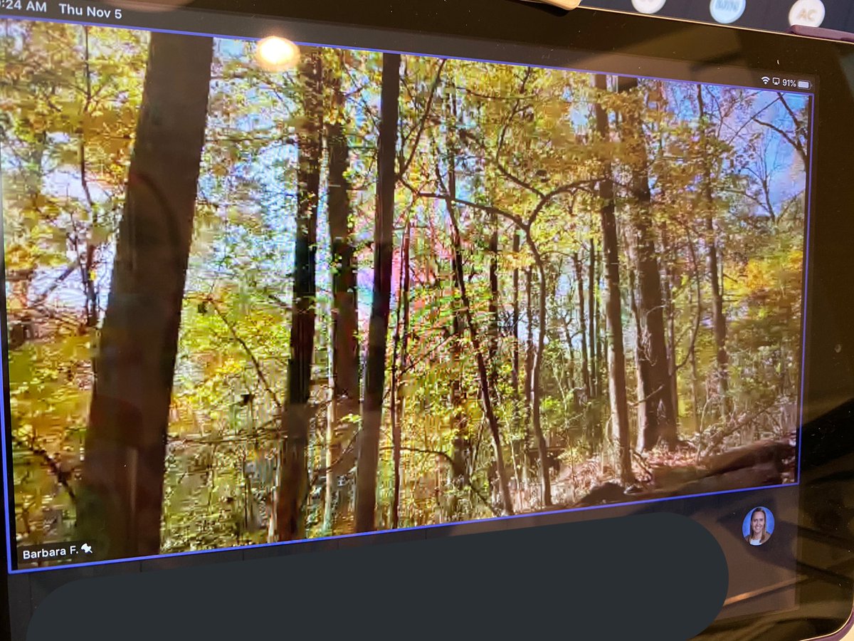 MrsKowalevicz's tweet photo. Learning how plants & animals change as the seasons change w/ Long Branch Nature Center π’ππ³π#VirtualFieldTrip #Inquirers #FirstGradeExplorers #FunInFirst #APSisAwesome @RandolphStars @APSscience https://t.co/kpJWBzIKWq