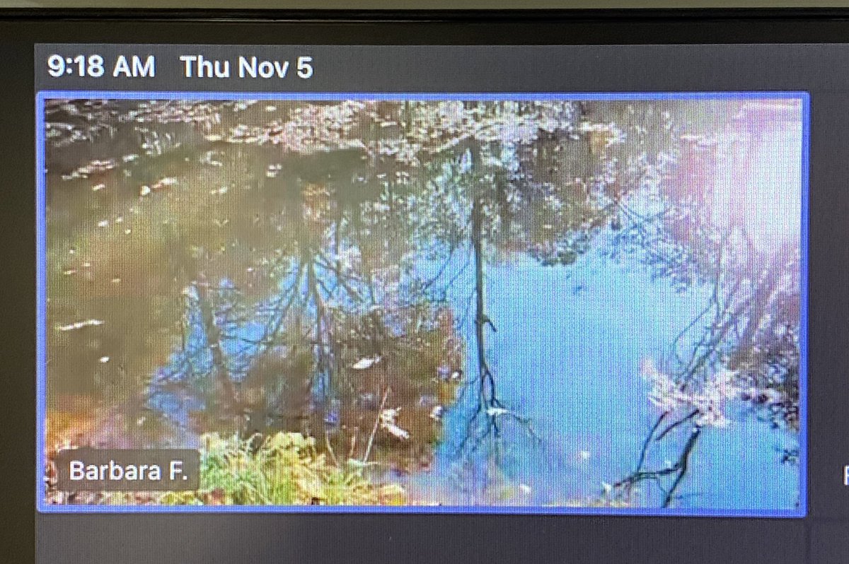MrsKowalevicz's tweet photo. Learning how plants & animals change as the seasons change w/ Long Branch Nature Center π’ππ³π#VirtualFieldTrip #Inquirers #FirstGradeExplorers #FunInFirst #APSisAwesome @RandolphStars @APSscience https://t.co/kpJWBzIKWq