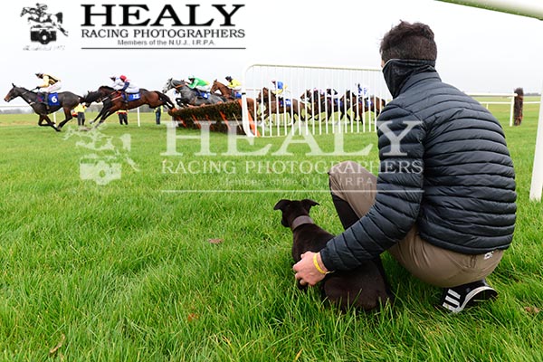 LIAM HEALY (@wjhjt) on Twitter photo <a href="/ConorOrr2/">Conor Orr</a> and his puppy TOBY keep an eye on the Ballagh Mares Handicap Hurdle won by DINARD ROSE <a href="/swflanagan7/">Sean Flanagan</a> for owner <a href="/ninacarberry/">Nina Carberry MEP</a> and trainer <a href="/tuvastables/">Noel Meade Racing</a> <a href="/thurlesraces/">Thurles Racecourse</a> see all the action on healyracing.ie <a href="/ConorOrr2/">Conor Orr</a> and his puppy TOBY keep an eye on the Ballagh Mares Handicap Hurdle won by DINARD ROSE <a href="/swflanagan7/">Sean Flanagan</a> for owner <a href="/ninacarberry/">Nina Carberry MEP</a> and trainer <a href="/tuvastables/">Noel Meade Racing</a> <a href="/thurlesraces/">Thurles Racecourse</a> see all the action on healyracing.ie