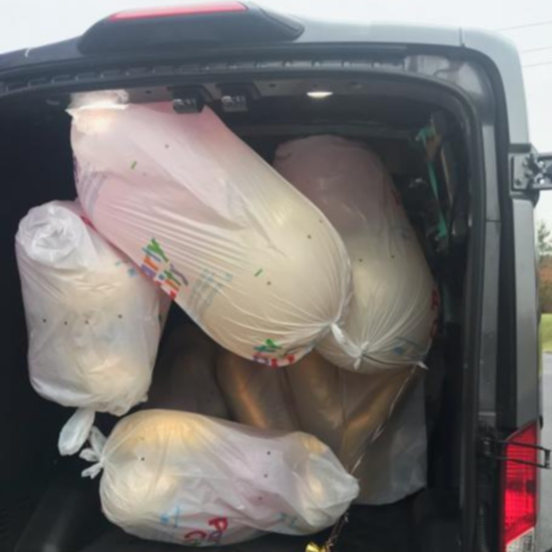 goshare's tweet photo. Though this #cargovan was stuffed floor-to-ceiling with balloons.... it did not float away. Phew. Another successful delivery! ๐
๐๐
#PartyVan #BalloonDelivery #Balloons #VanLife #VanApp #CargoVanApp #DeliveryApp #SameDayDelivery #DeliveryOnDemand #OnDemandDelivery #GoShare https://t.co/P4CCsKqwc1