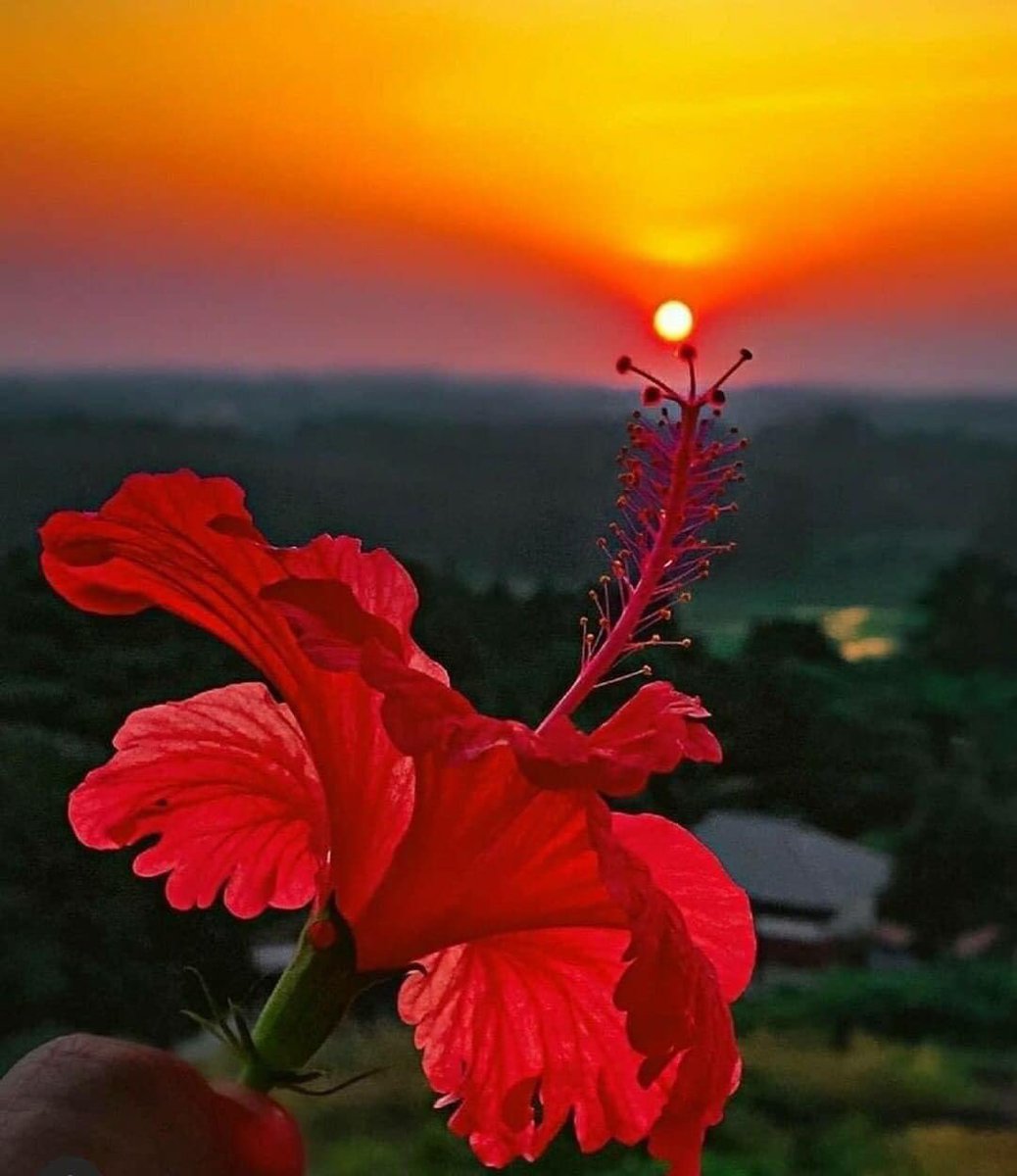 lm_adem's tweet photo. #Güzel Şeyler..!!!
#Kiminin Elinde Can Bulur...!
#Kiminin Elinde İse...!
#Solarr Gider...!!!
🌹🌹
#HayırlıAkşamlar...!!!
#RabbimeEmanetsiniz...!!
☘️☘️ https://t.co/bHNxZes3MT