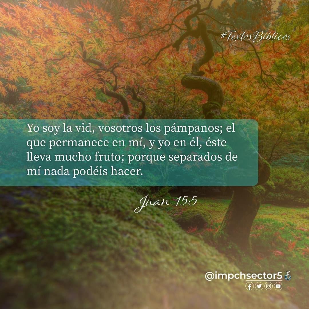impchsector5's tweet photo. #textosBiblicos | Juan 15:5

"Yo soy la vid, vosotros los pámpanos; el que permanece en mí, y yo en él, éste lleva mucho fruto; porque separados de mí nada podéis hacer".

Dios les bendiga!! 🤗 https://t.co/DGmXeCFNLf