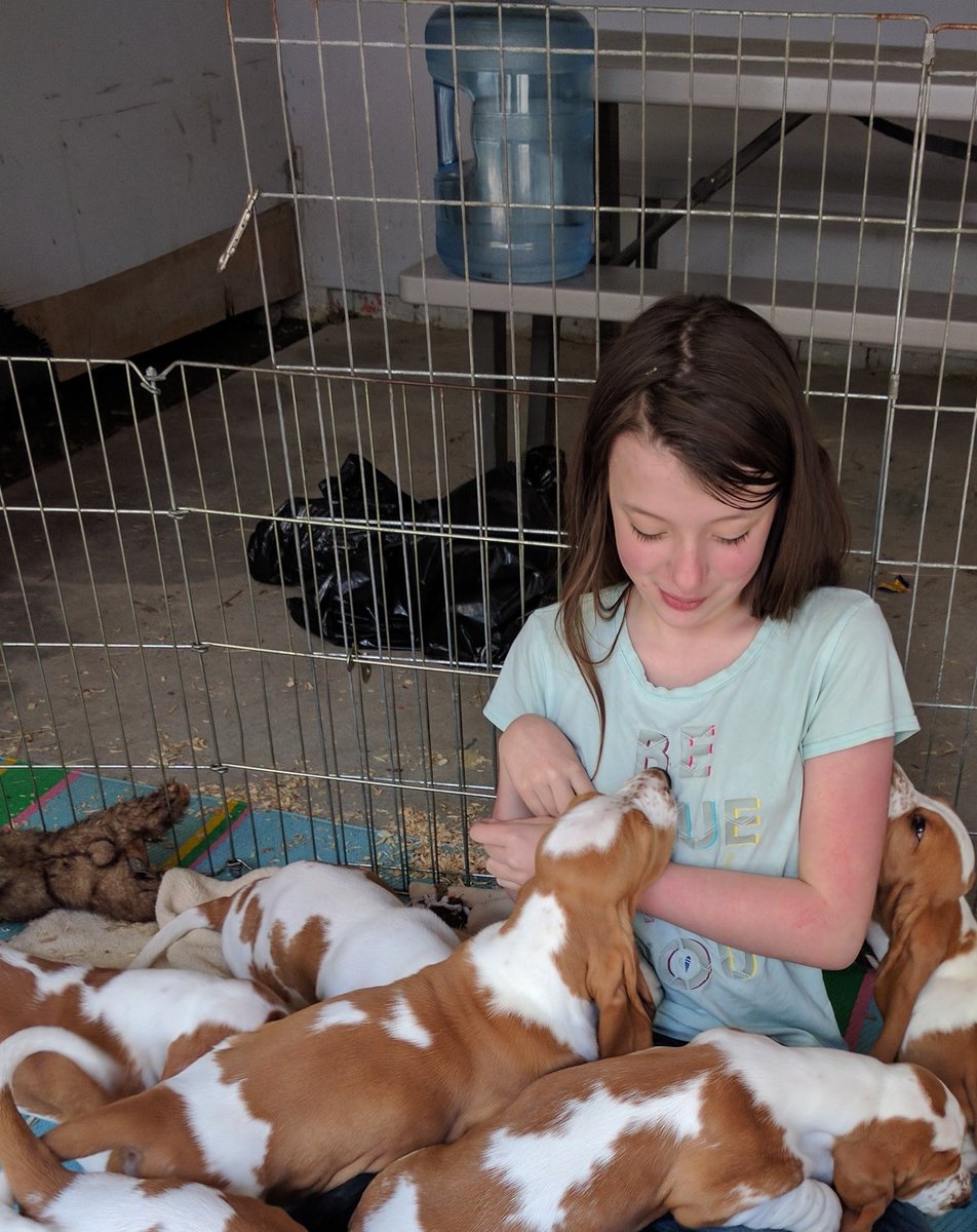 Do we need puppy photos?