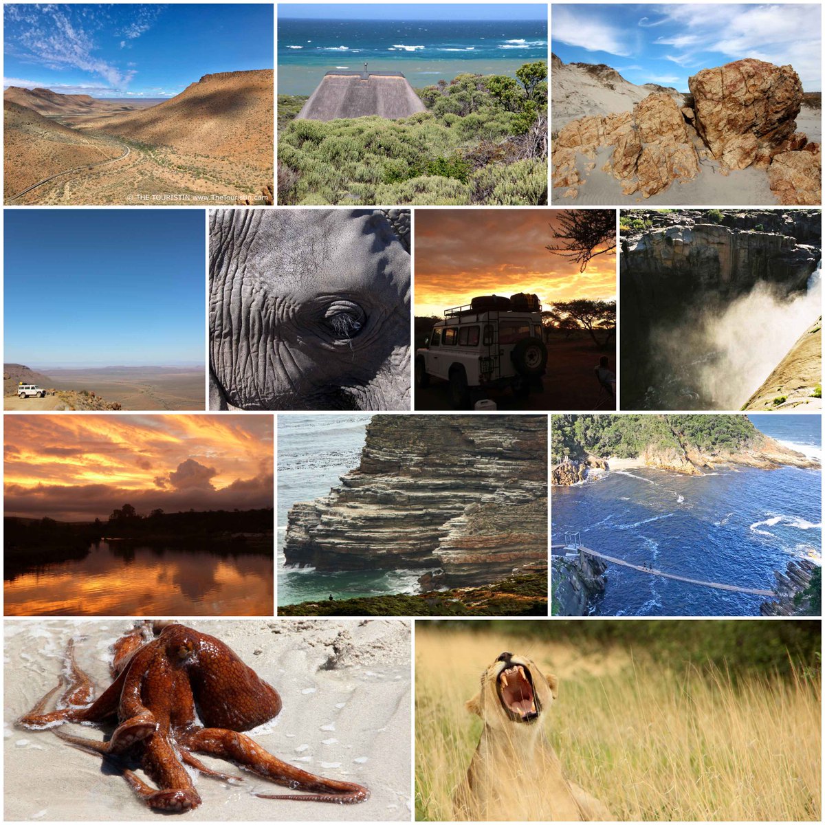 DoroLef's tweet photo. @SafariKZNMark Mark, here is a collage for all wildlife- &amp; #SouthAfrica lovers. #CultureTrav 
1. Karoo NP 2. Agulhas NP 3. Augrabies NP 4. Bontebok NP 4. Garden Route NP 5. Kgalagadi NP 6. Mokala NP 7. Addo NP 8. Tankwa NP 9. Namaqua NP 10. Augrabies NP 11. Table Mountain NP 12. West Coast NP. https://t.co/4KVcvS511A