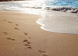 dfmooc's tweet photo. We don't always realise what we are leaving behind. Register for the Digital Footprint free online course from the University of Edinburgh https://t.co/ZKQ8HkB6GM #DFMOOC #DigitalFootprint https://t.co/EEY4Q0zAWu