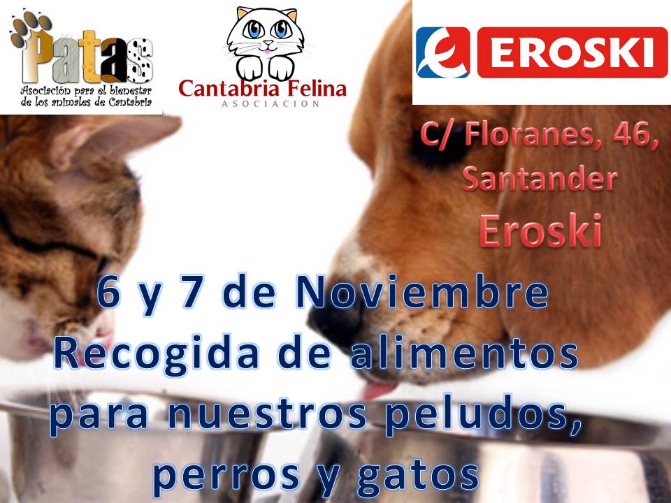 CantabriaFelina's tweet photo. Mañana y el sábado estaremos en el @EROSKI de la calle Floranes en Santander, para recoger alimento y arena para nuestros gatines y los perros de la @ProtectoraPATAS en horario de tienda. Os esperamos, no falteis.
#5Noviembre #FelizJueves #rts #Difunde #Comparte https://t.co/WtBhJwRTO7