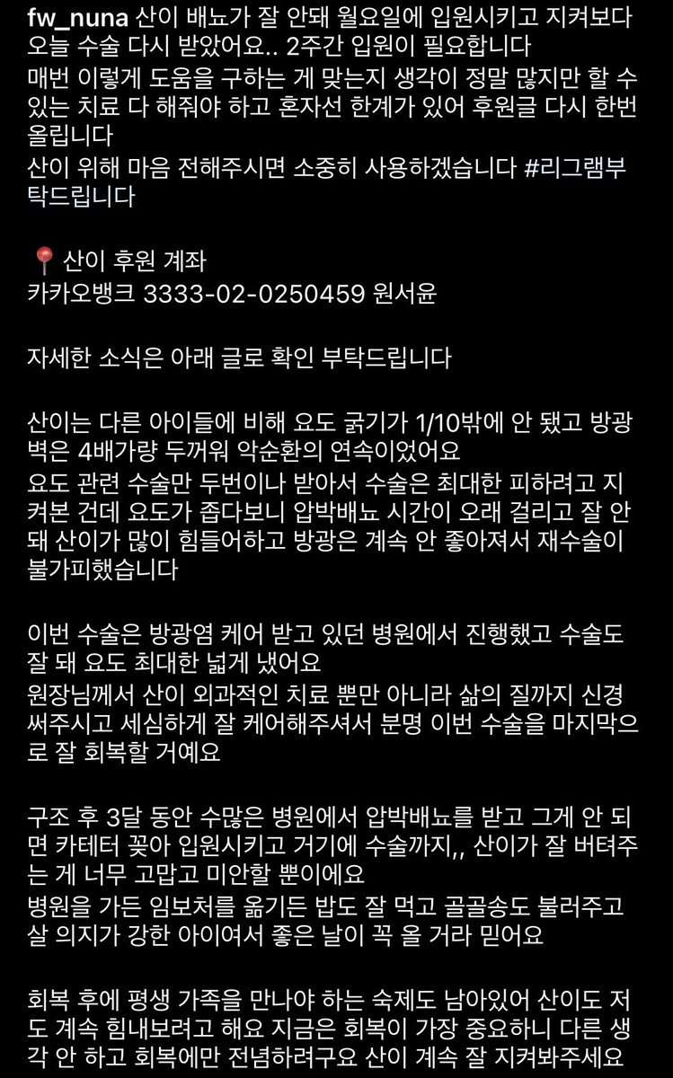 with_mgrk's tweet photo. 얼마 전에 상담 다녀온 환묘 소식에 가슴이 철렁. 강이처럼 사고로 인해 요도가 끊어져 요도루조성술을 받았는데 예후가 나빠요. 요도 굵기가 다�� 수컷의 1/10, 그리고 방광벽이 4배나 두꺼워진 상태여서 결국 재수술을 했다네요. 산이와 구조자님이 많이 힘들어요. 다들 조금씩 도와 주세요🙏 https://t.co/oSghB6Yj0h