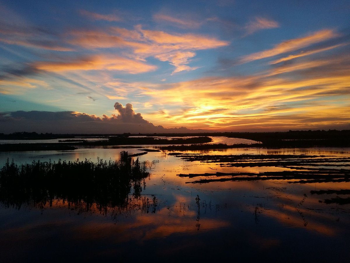 AbirHasan3D's tweet photo. #location - #Bangladesh #Pabna
#divice- #SamsungA5
#mobilephotography
#clickbyme https://t.co/fFHKgNEOIO