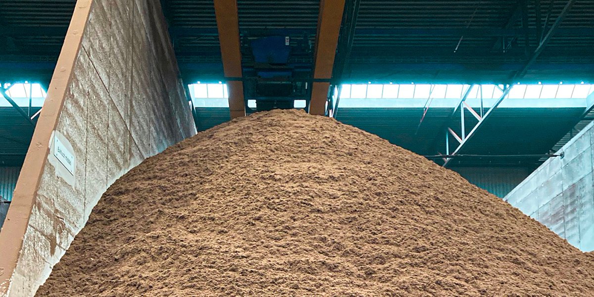 LensliS's tweet photo. Op onze productielocatie in de haven van Cuyck, KATWIJK, is weer een schip met prachtig veenmos veen substraat binnengelopen.
LENSLI SUBSTRATES
HAVE FUN GROWING
#substrates #substraat #veen #veenvrij #havefungrowing https://t.co/h0WLN1mi9P