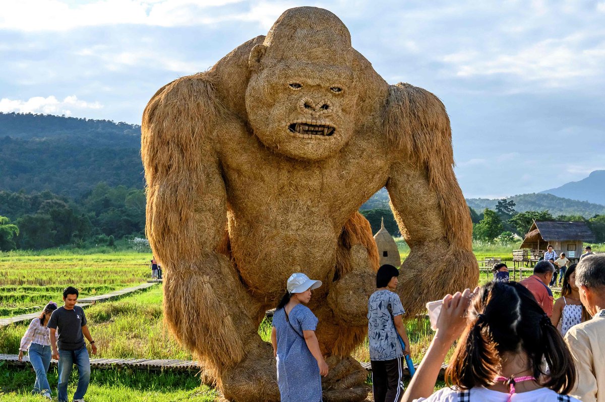 CGTNFrancais's tweet photo. Les stars d'aujourd'hui sont… des sculptures de paille ! Les sculptures géantes en paille à Chiang Mai en Thaïlande sont devenues célèbres sur Internet, attirant de nombreux touristes. Découvrons ensembles cet endroit très intéressant ! https://t.co/40uzGEOFce