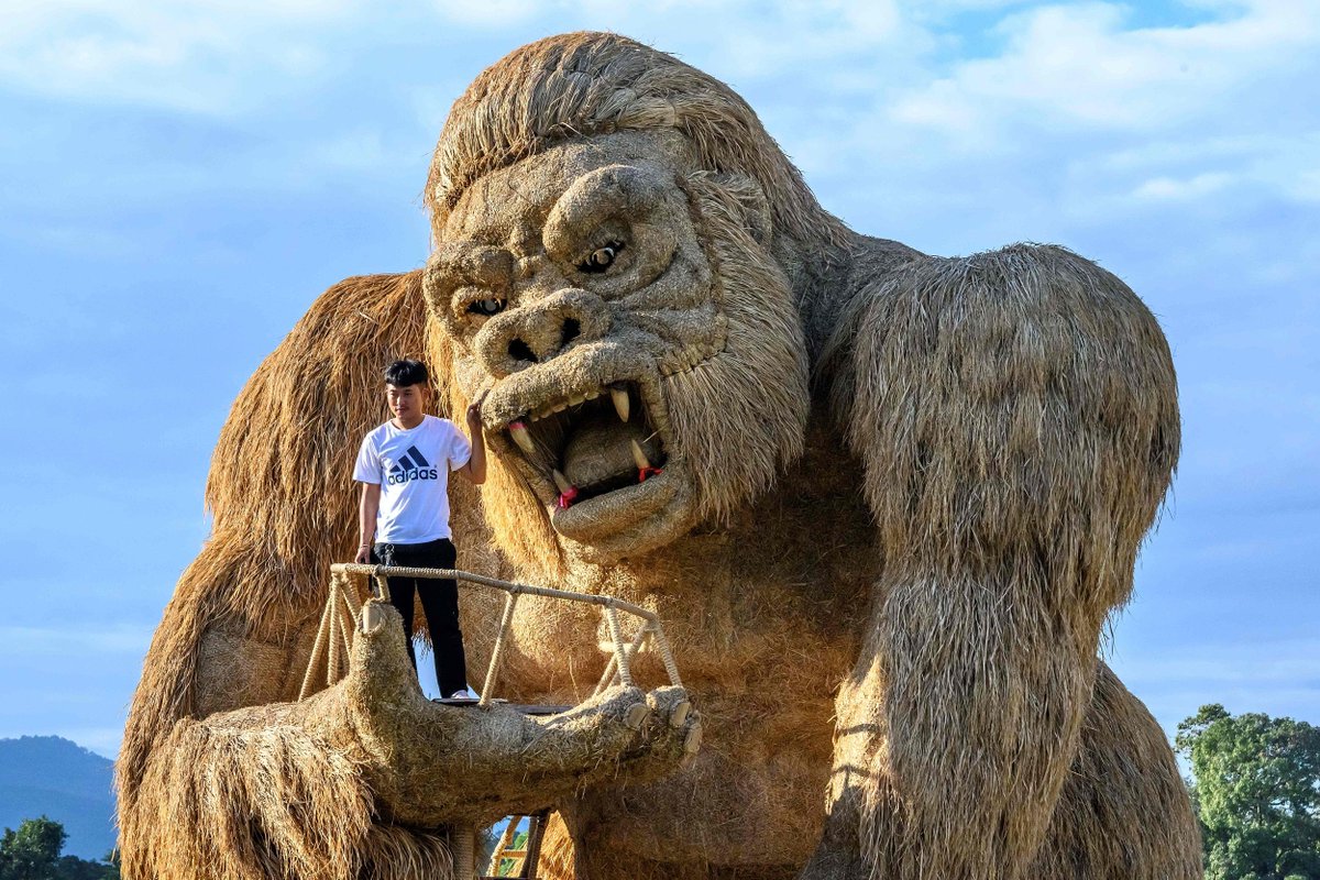 CGTNFrancais's tweet photo. Les stars d'aujourd'hui sont… des sculptures de paille ! Les sculptures géantes en paille à Chiang Mai en Thaïlande sont devenues célèbres sur Internet, attirant de nombreux touristes. Découvrons ensembles cet endroit très intéressant ! https://t.co/40uzGEOFce