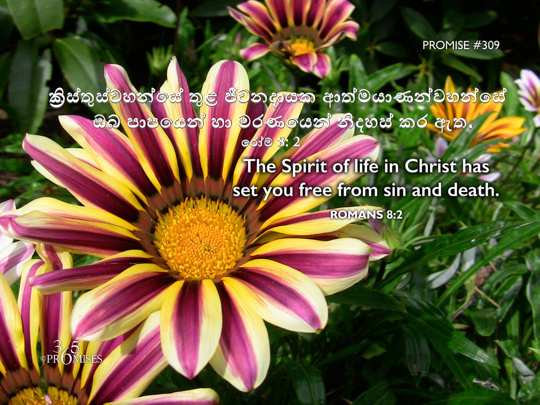 MAARFernando's tweet photo. The Spirit of life in Christ has set you free from sin and death. (Read Romans 8:2).                                                                                                           ක්‍රිස්තුස්වහන්සේ තුළ ජීවනයේ ආත්මයාණන් ඔබ පාපයෙන් හා මරණයෙන් නිදහස් කර ඇත. (රෝම 8: 2). https://t.co/wzg2yMkYsK