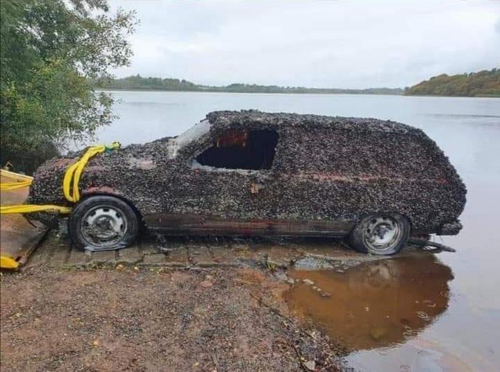 BanterBase's tweet photo. A real mussel car #Banter #GeneralBanter https://t.co/9k83YoONuK https://t.co/SobqauR3sQ