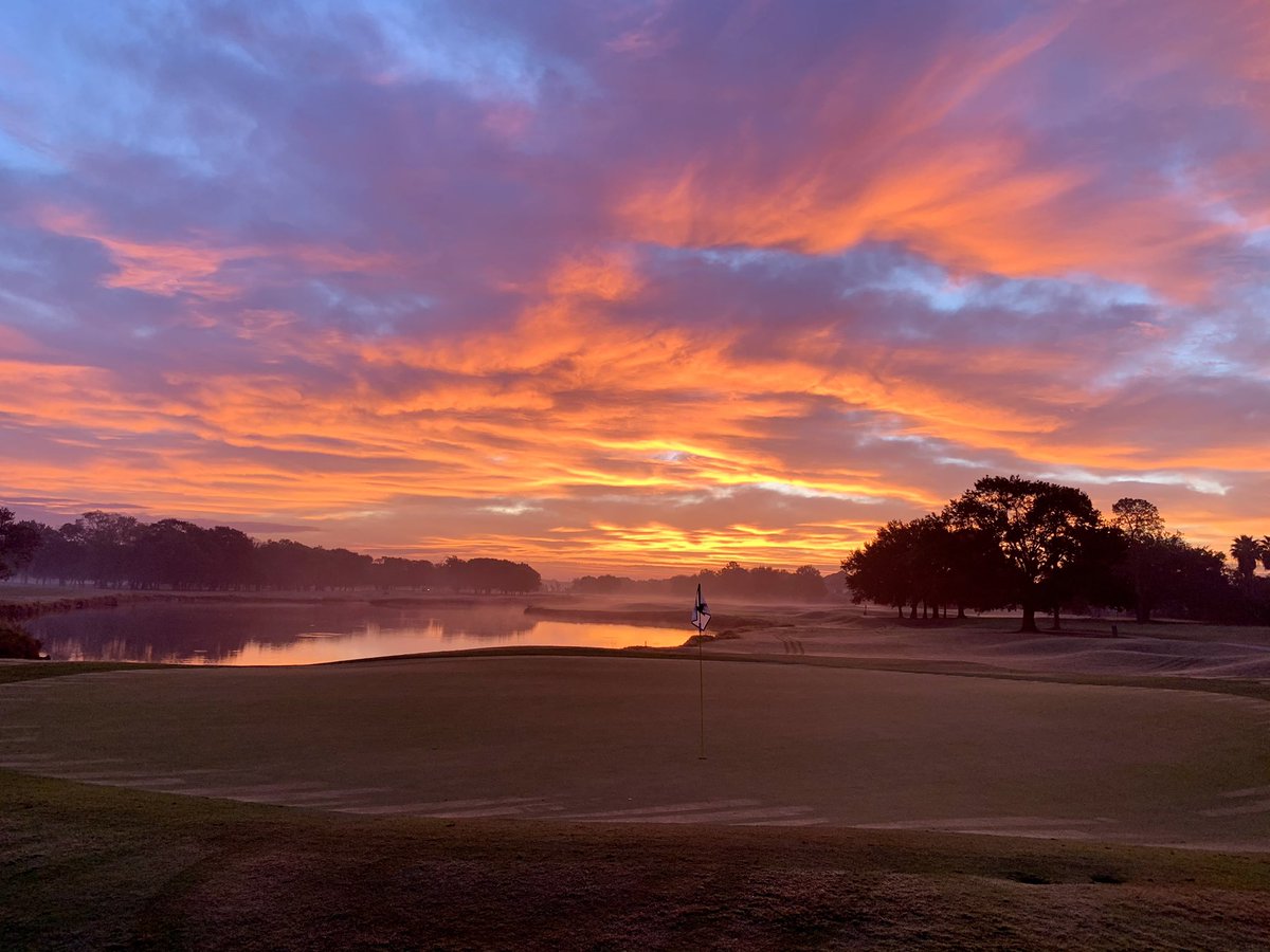 David Franks (@david_a_franks) on Twitter photo 