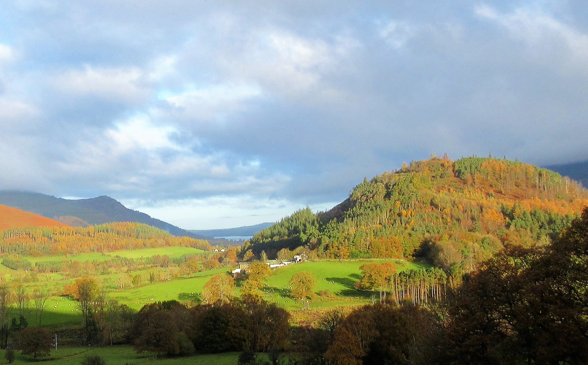 StanLeigh18's tweet photo. #Catbells #MaidenMoor #HighSpy walk yesterday from #Skelgill near #Stair
- #Autumn colour at #Swinside
- #LittleTown surrounded by the #NewlandsFells
- #ManestyWood & Derwentwater
- View from #HauseGate to #BrandellhowWood & #Keswick
Maiden Moor & High Spy images to follow https://t.co/StLHe23XOI