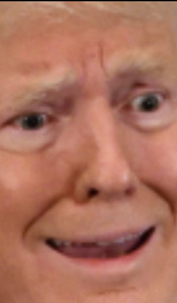 NatTremb_'s tweet photo. @realDonaldTrump In CAPITAL letters, meaning you're SCREAMING and WAILING just like #DEMENTIA patients who repeat themselves again and again, all day long, the same words!
Each vote counts! It's called #DEMOCRACY!
#FireTrumpInNovember
#TrumpMeltdown
#DilatedPupils
#TrumpIsNotWell
#SoreLoser https://t.co/sNwTqhdroT