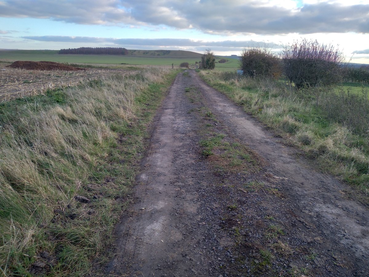 The Sun is getting low already as I descend from Etchilhampton Down.  #Wiltshire  #LockdownDay