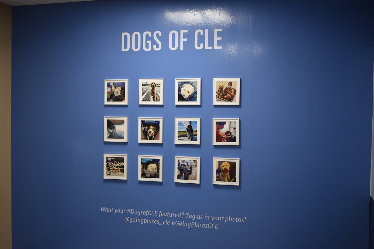 goingplacesCLE's tweet photo. Attn Fur Parents! Our SARA has now been fully completed on the ramp to Concourse A! The graphics were custom printed on an antimicrobial wall film that helps protect against bacteria & fungus. It's easy to clean & protects the walls & our guests (with 2 or 4 legs) safe! https://t.co/hXs46w1ivZ