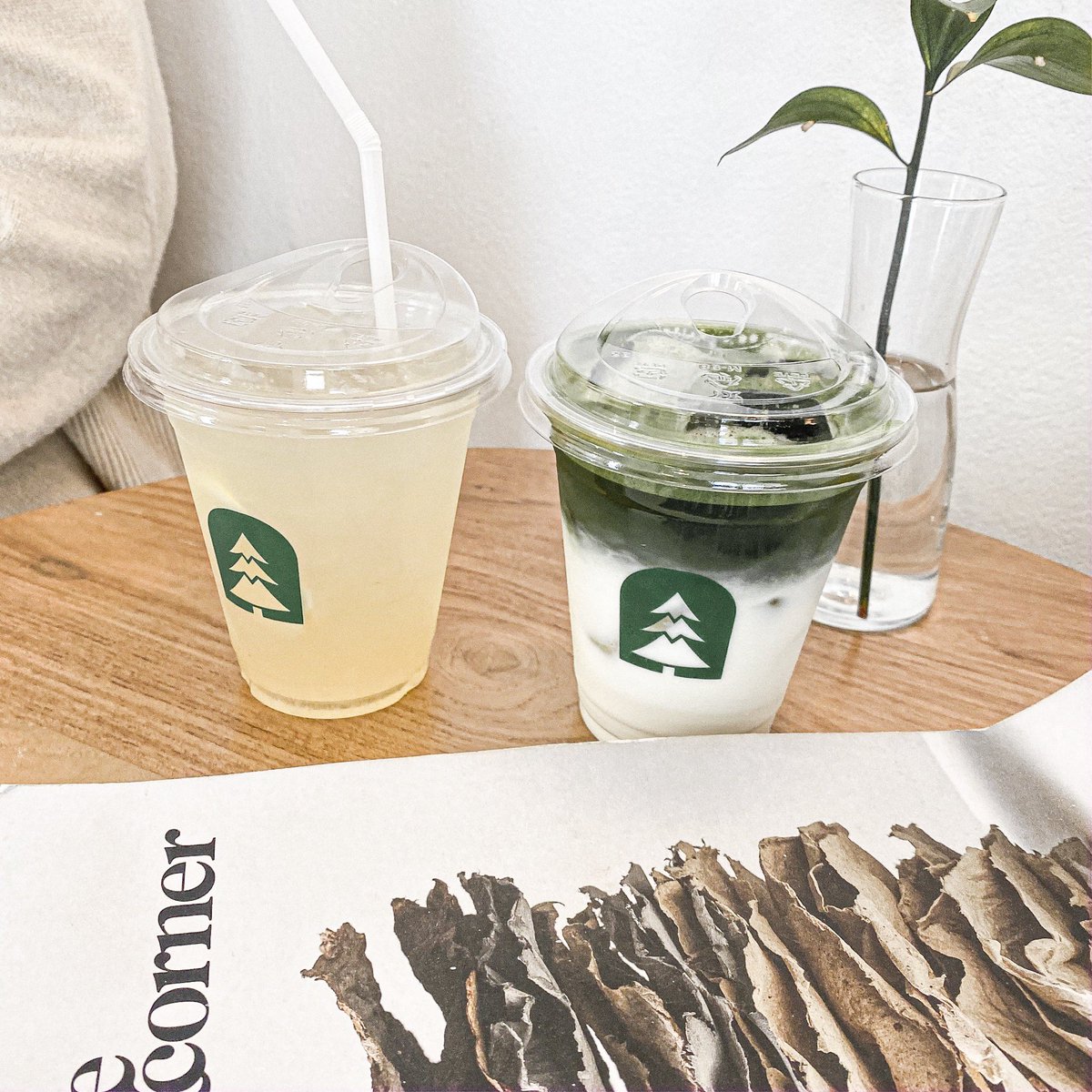 seoulsolo's tweet photo. 𝐄𝐕𝐄𝐑𝐆𝐑𝐄𝐄𝐍 𝐂𝐚𝐟𝐞 &amp; 𝐇𝐨𝐭𝐞𝐥 
ร้านสไตล์มินิมอล ออกโทนขาว ฝั่งนึงเป็นคาเฟ่ อีกฝั่งเป็นที่พัก เป็นร้านเล็กๆเราชอบชาเขียวที่นี่ 🍵 มีแบบธรรมดากับพรีเมียม ราคาประมาณ90-120฿ ร้านอยู่ในซอย ที่จอดรถค่อนข้างน้อย 
📍4/1 ซ.สิโรรส 1 สุเทพ 
#รีวิวเขียงใหม่ #รีวิวคาเฟ่ #seoulsolo https://t.co/a3gXmWsjKj