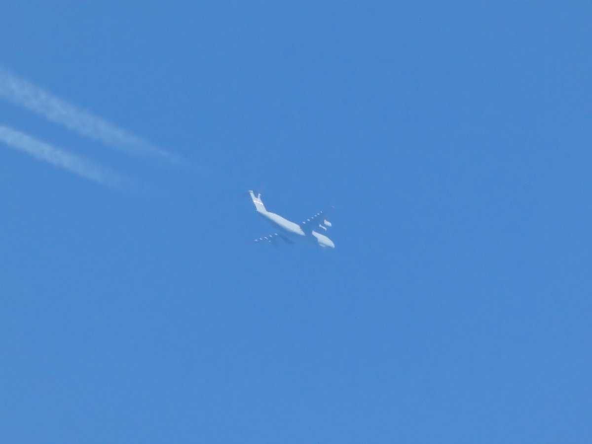EHEH_Spotter's tweet photo. United States Air Force Lockheed C5B Galaxy (84-0062, Travis AFB, #AE055D) as U.S. Air Mobility Command flight #RCH429 at 35000 ft @ EHEH
#potn #usaf #c5 #avgeeks #planespotting https://t.co/Ek4NDCAe3k