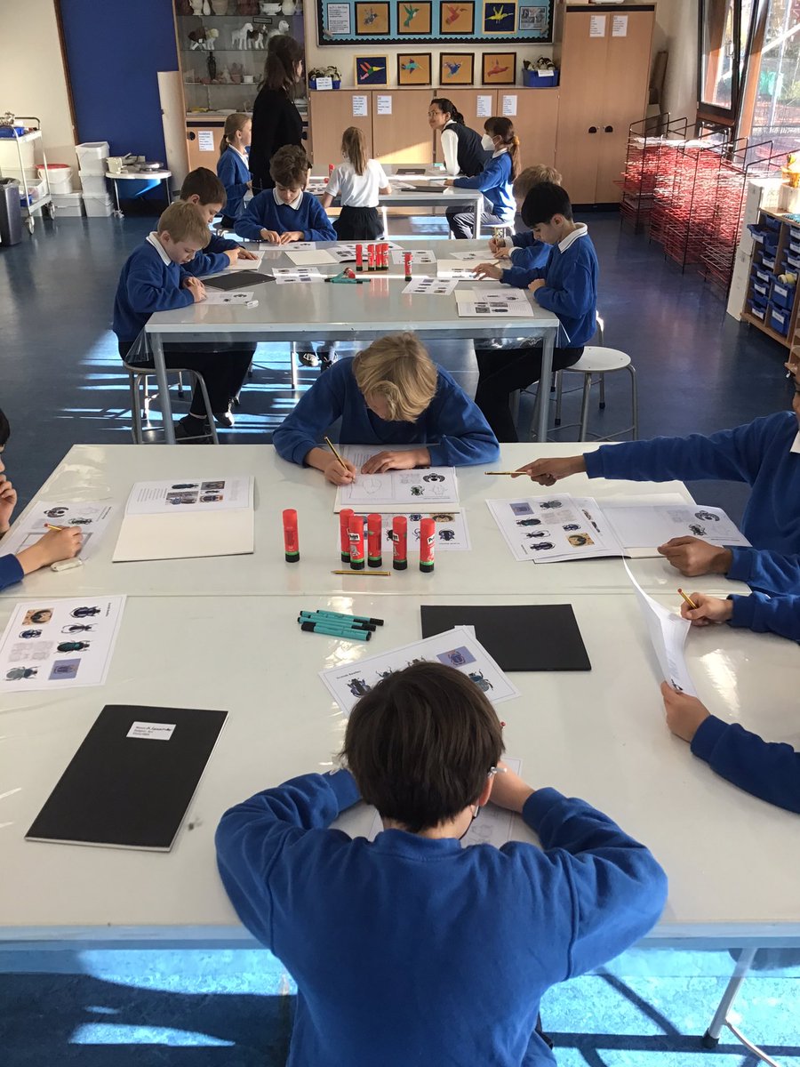 BSNJSV's tweet photo. Drawing beetles (and no, not the 60s, Liverpudlian, rock and roll,  boy band sensation kind) in #JSVY5 in preparation for print-making. The students focused on their sketching technique, depicting accurate proportions, and ensuring the symmetry of their designs #JSVArt https://t.co/zrXzqc70M0