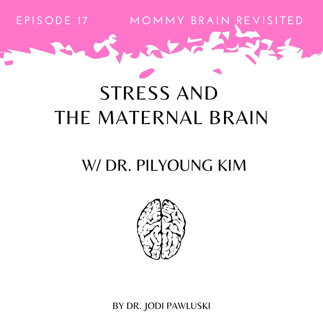 MommyBrain_Pod's tweet photo. Episode out! I talk w/ Dr Pilyoung Kim @DenverUPsych about how #stress #poverty affect #maternalbrain +#maternalbehavior. So important! We also talk about #race, #resilience... and the need for #socialpolicies to support parents.
Link in profile.
Recent review in @Els_ENDO https://t.co/pwM0iG8n1q