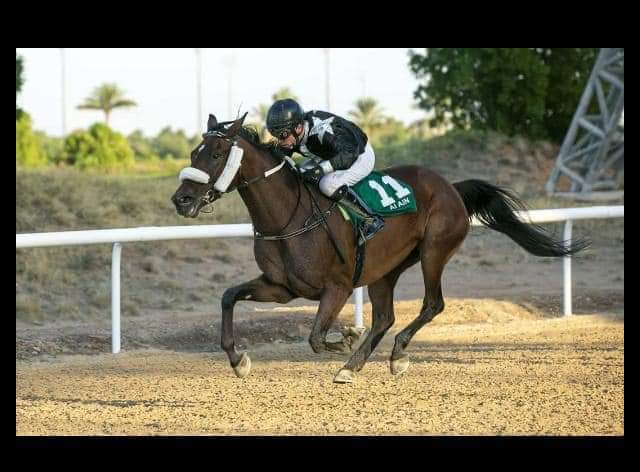 FarmsAf's tweet photo. A great start to the season this past weekend for AF Farms - Owned by Khalid Khalifa Al Nabooda

As breeders we had 3 Winners - 2 trained by Ernst Oertel and 1 trained by Ali Al Rayhi......plus there were 12 Placed AF Bred runners over the 2 race meetings at Al Ain and Sharjah https://t.co/knTaZPGikA