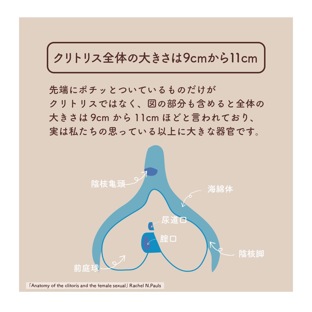 とぅるもち ラブグッズコンサルタント Twitter પર これまでの研究で 腟内だけの純粋なオーガズムは存在しない とわかっていることとか クリトリス全体の大きさが意外と大きいこととかって大人になるまでまったく知らなかった 自分の大切なカラダのこと 知ろうと とぅるもち ラブグッズコンサルタント Twitter પર これまでの研究で 腟内だけの純粋なオーガズムは存在しない とわかっていることとか クリトリス全体の大きさが意外と大きいこととかって大人になるまでまったく知らなかった 自分の大切なカラダのこと 知ろうと