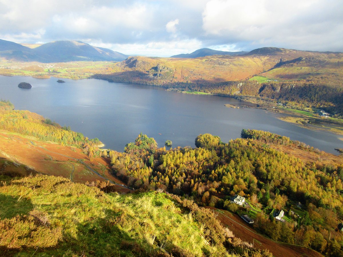 StanLeigh18's tweet photo. #Catbells #MaidenMoor #HighSpy walk yesterday from #Skelgill near #Stair
- #Autumn colour at #Swinside
- #LittleTown surrounded by the #NewlandsFells
- #ManestyWood & Derwentwater
- View from #HauseGate to #BrandellhowWood & #Keswick
Maiden Moor & High Spy images to follow https://t.co/StLHe23XOI