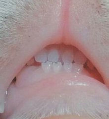 nilsonarj's tweet photo. detalhes de um gatinho para desintoxicar sua tml https://t.co/TSnI39kXHn