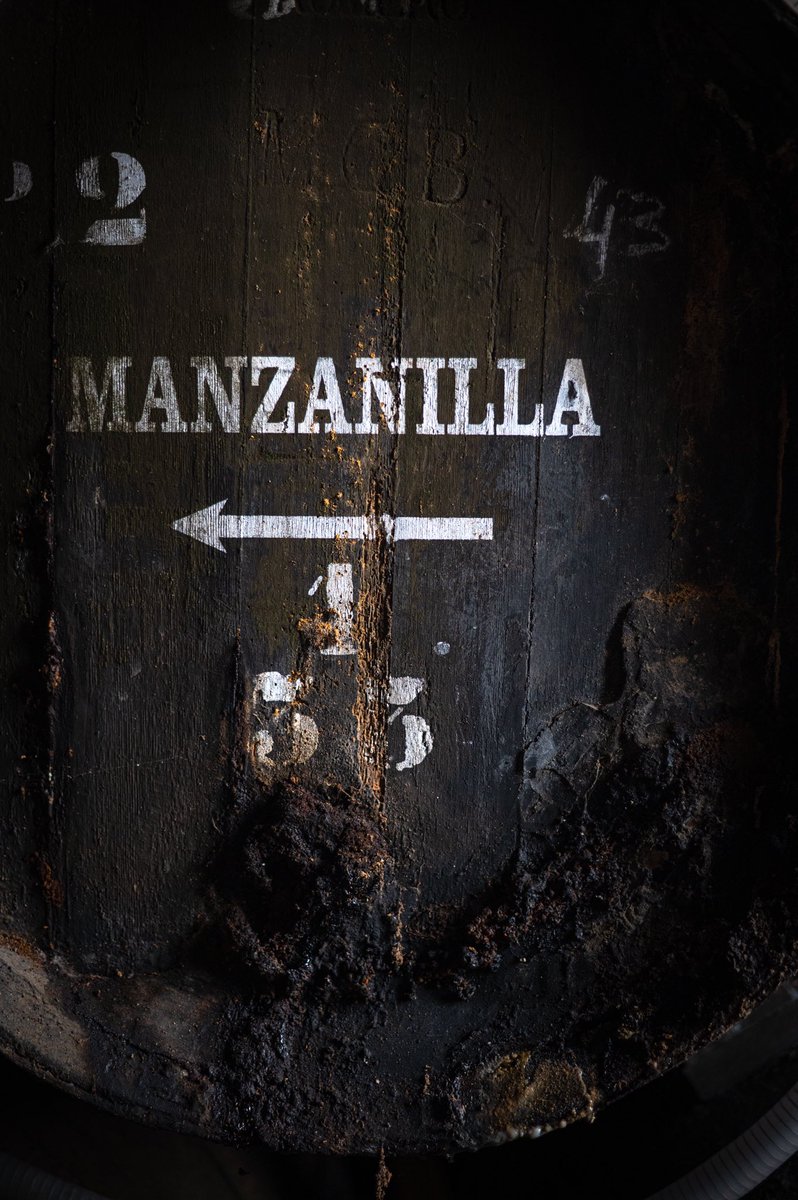 owenmorgan44's tweet photo. Slightly emosh. 
It’s @SherryWines week, &amp; our very own manzanilla has just been bottled, ready for shipping!
A long road it’s been &amp; many trips to find exactly what we wanted. Thank you to so many people that were involved and helped us in many ways. 

The best sherry week ever! https://t.co/I1yG3Mr0Z1