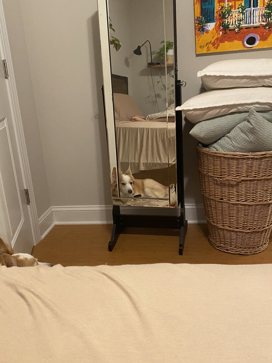 I moved the mirror. Doesn’t matter. She moved her bed. So she could still use it.