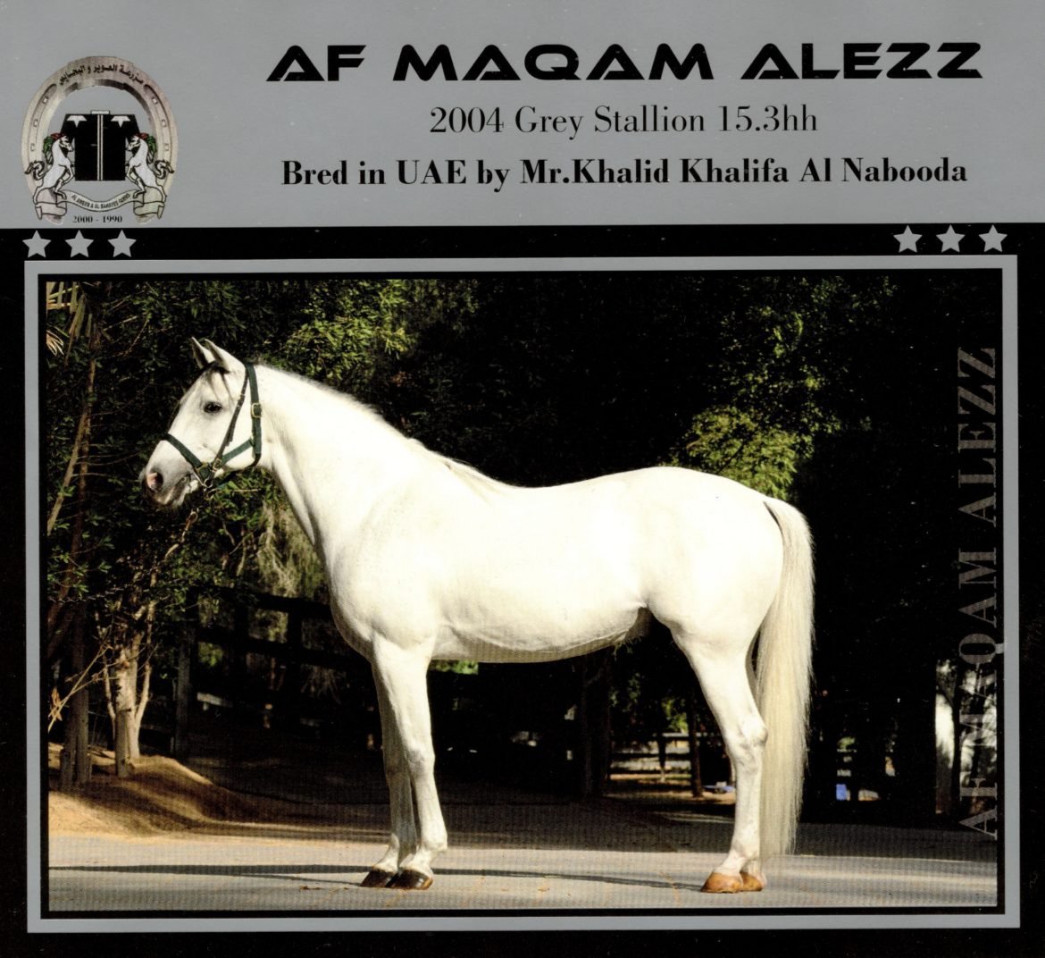 FarmsAf's tweet photo. A great start to the season this past weekend for AF Farms - Owned by Khalid Khalifa Al Nabooda

As breeders we had 3 Winners - 2 trained by Ernst Oertel and 1 trained by Ali Al Rayhi......plus there were 12 Placed AF Bred runners over the 2 race meetings at Al Ain and Sharjah https://t.co/knTaZPGikA