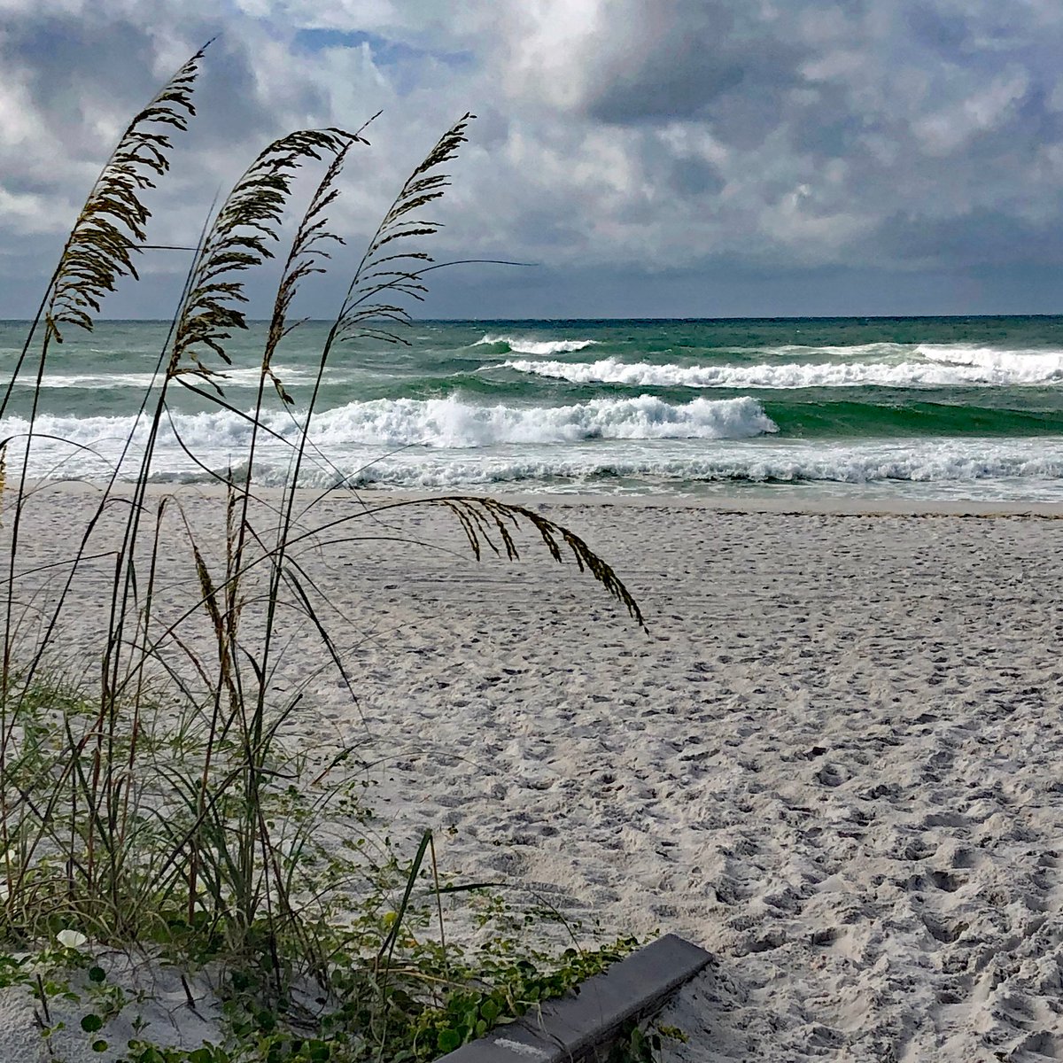 profhartnett's tweet photo. Q2: Tell me a #brand account you follow, and why you think they’re doing a great job with their #socialmedia #marketing   Here’s one: @VisitPensacola They connect with their target consumers’ interests with fabulous photos that make you want to visit. #profhartnett https://t.co/2PRNIqbCoS