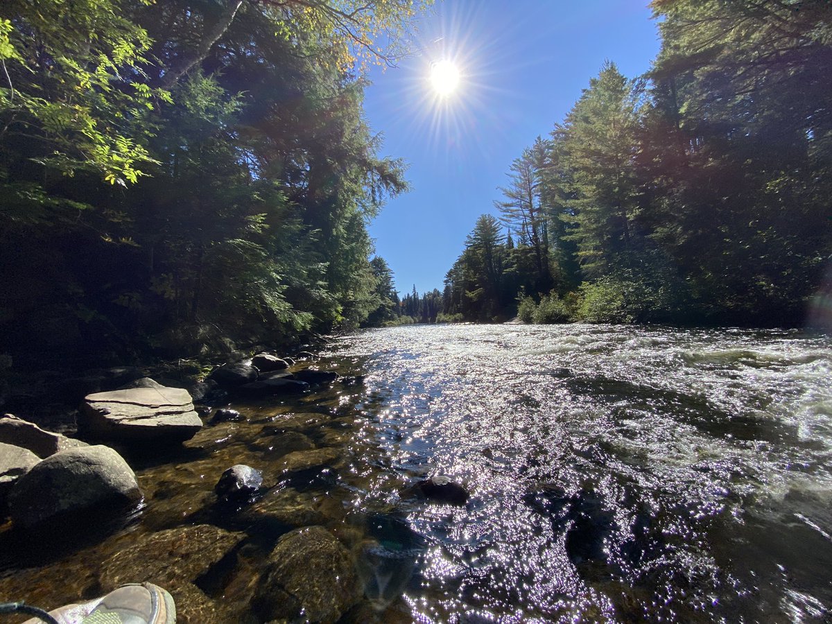 DownsizingCents's tweet photo. I am asking those who love the outdoors to post a picture. A picture that YOU took. No description. The goal is to regain peace and harmony without the negativity. Please copy the text, put a picture on your page and let’s look at these. Here is mine https://t.co/BYaat2NFd9