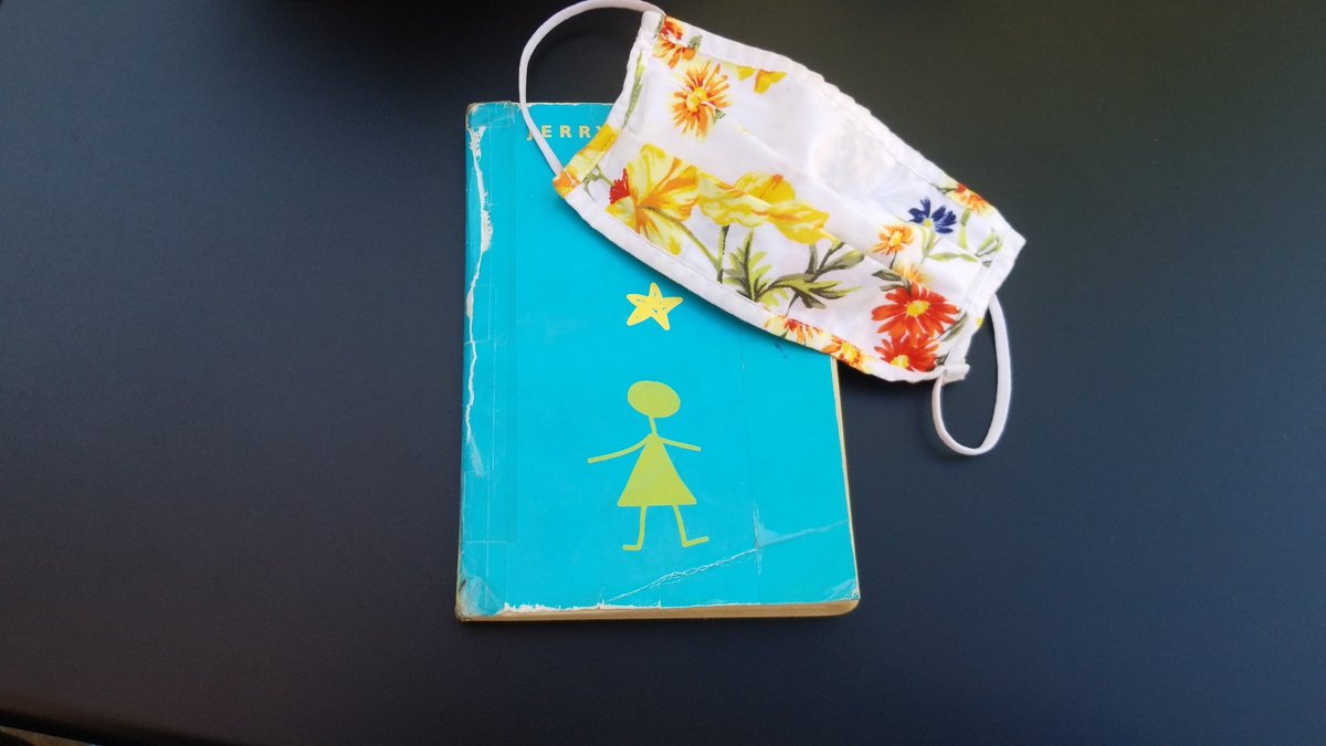 Stargirl makes me want to be a better human who notices people and the world around me more.