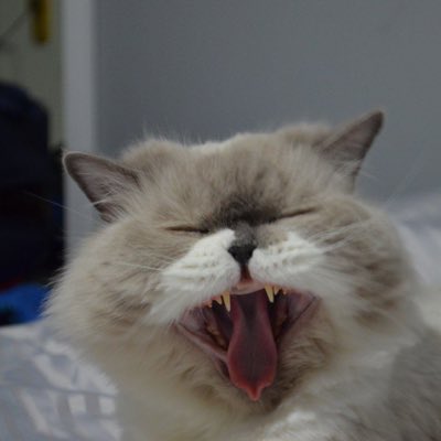 mrbayran's tweet photo. #NewProfilePic https://t.co/0kv9iXtZEI