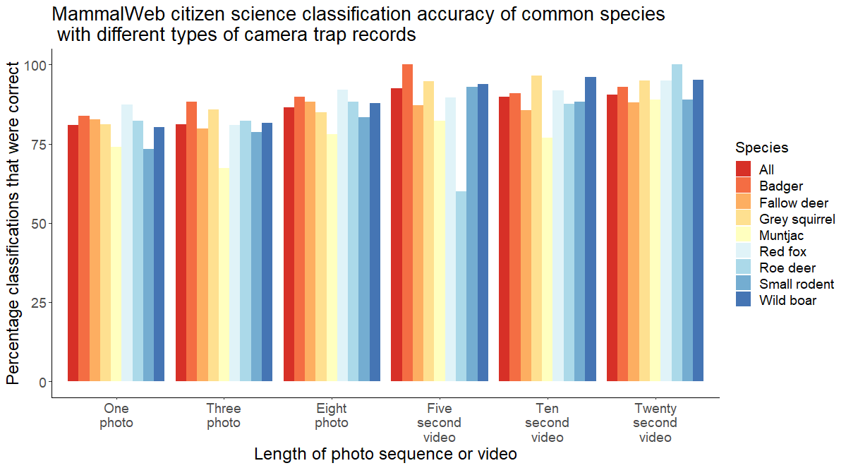 4  #TropiCon20 Changes in accuracy between photo and video footage varied with species with some, e.g. grey squirrel, seeming to be easier to spot in videos. Others e.g. fallow deer, were correctly identified in a slightly higher percent of classifications in sequences of 8 photos