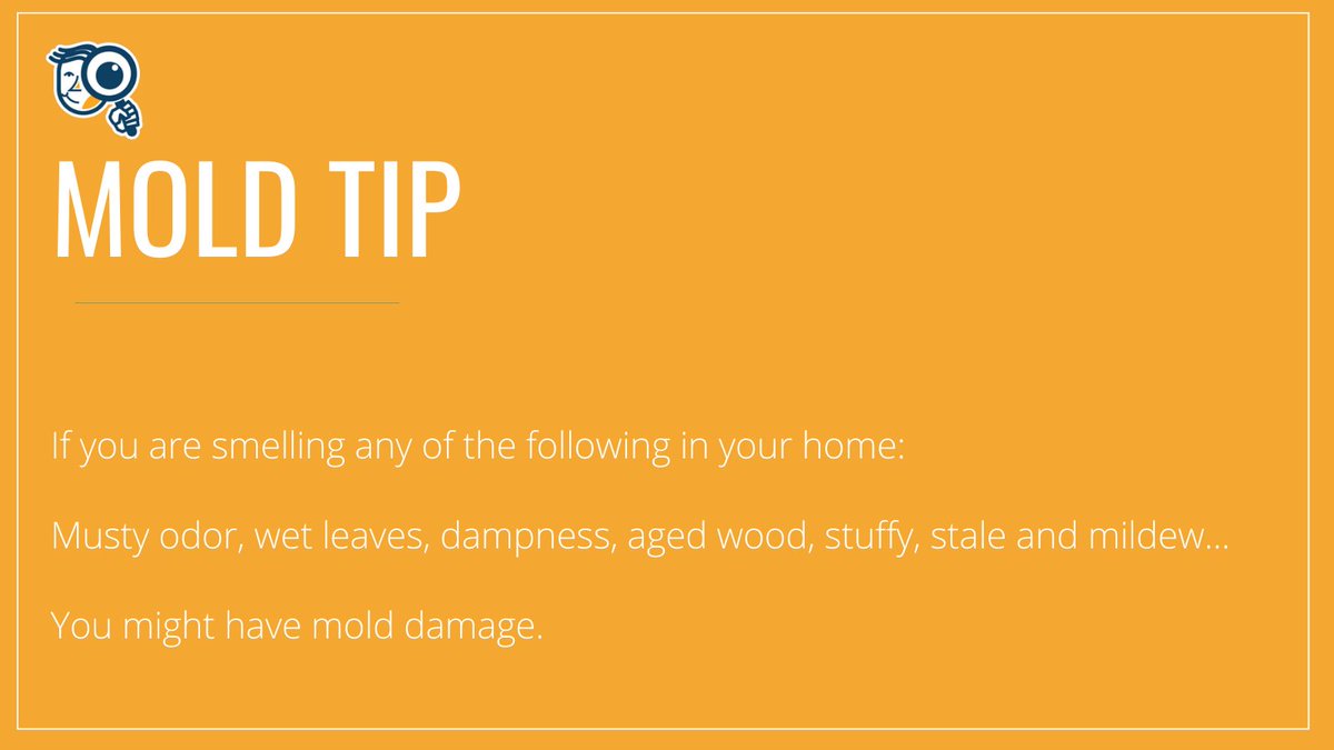 AirQultyAssrsFL's tweet photo. #MoldTip 
A mold inspection is the first step to determine the source of the odor. We recommend mold testing, which can be an effective tool to help determine if mold has infiltrated building materials or personal property.  
#assesors #floridabusiness #inspection https://t.co/1GF3y368La