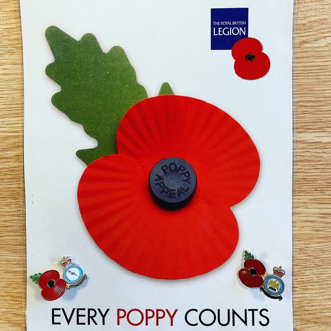 kingscolour_sqn's tweet photo. The Queen’s Colour Squadron are supporting the annual #poppyappeal and will be taking part in National Acts of Remembrance this year at the @royalbritishlegion Festival of Remembrance and the national remembrance service at the Cenotaph. https://t.co/21Qid2Wvo0