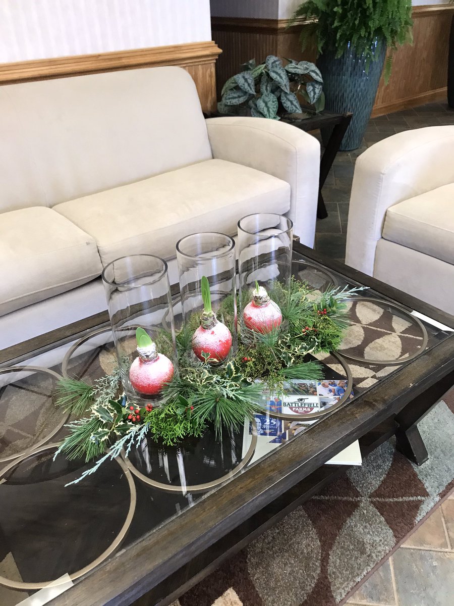 Having some fun with our #WaxtBulb Amaryllis! Our elegant version- #christmasideas #lowes #christmasdecor #lowesgarden <a href="/LBishPlants/">Lora Bishop</a> @AlanFBattlefie1 <a href="/TipToeTyler/">Tyler Combs</a> @JimY_BFF @ToddS_BFF <a href="/AlanWal73481862/">Alan Waller</a> <a href="/LowesSteveh/">steve hahn</a>