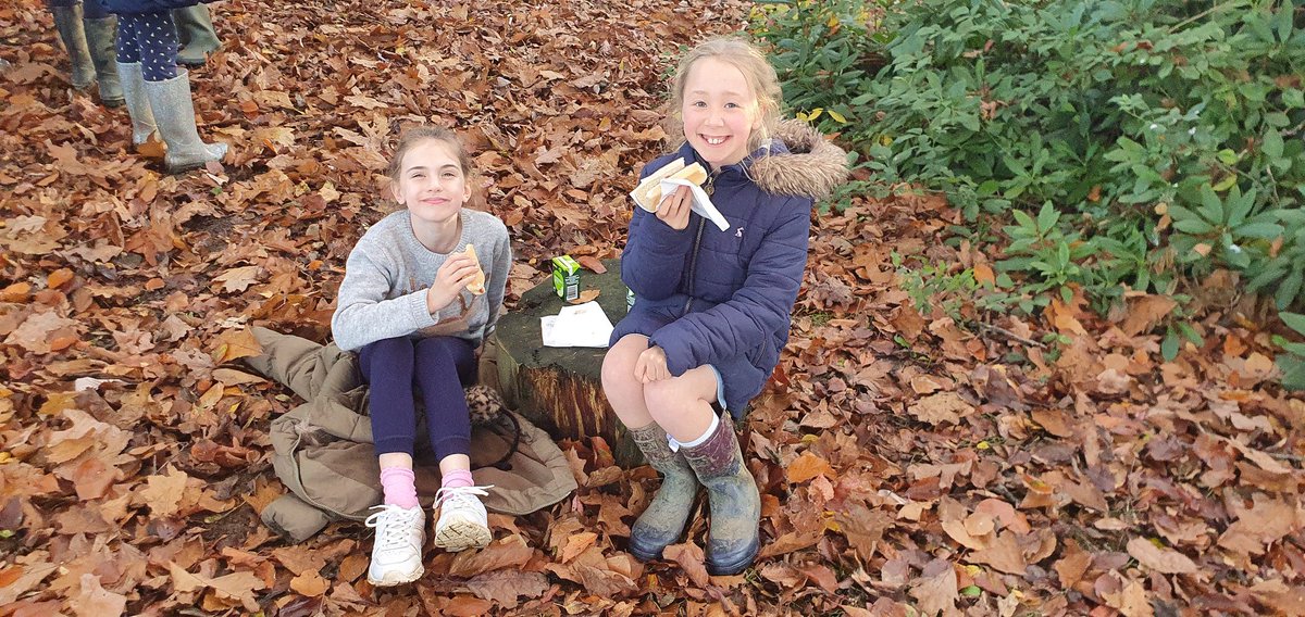 CarrdusYear5's tweet photo. Events like this make our school unique #quotesfromy5 #bonfirefun #bonfireday https://t.co/tB6Dp5EFqK