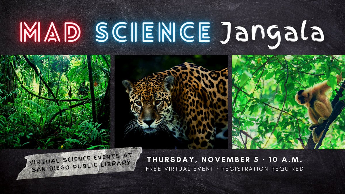 SDPublicLibrary's tweet image. @MadScienceSD is almost here! Are you ready to take on the jungle? 🌴🐆 Our #free virtual event at 10 a.m. is about to start. To join, hop on in: facebook.com/events/3334058… #mySDPL